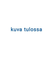 BIORION TUUHEUTTAVA JA RAVIT. HOITOAINE  250 ml